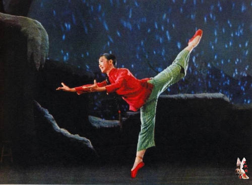 自由美术学院学生卡